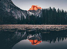 足总杯-舍什科破门维尔贝克弑旧主 曼联1-2布莱顿