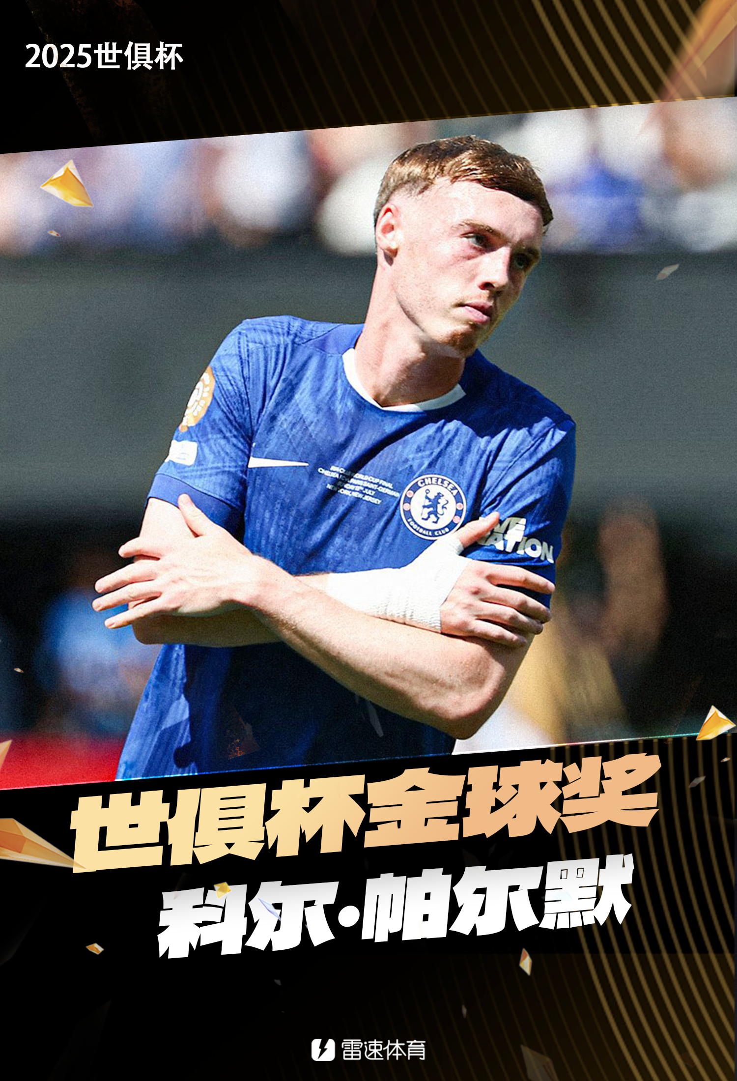 帕尔默金球奖.png